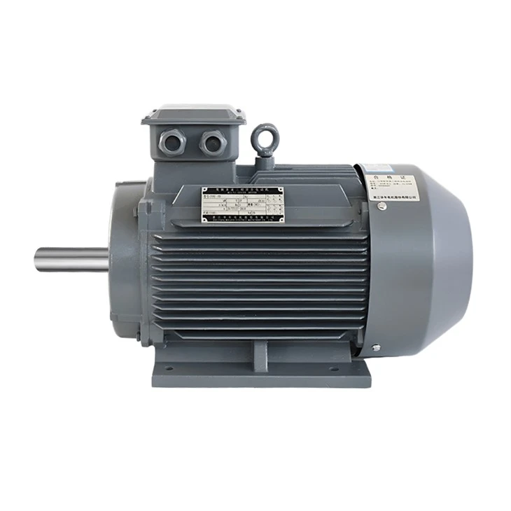 Indukcijski motor s 2 brzine